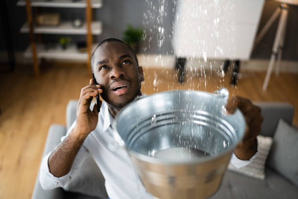 Best Basement water damage restoration  in Dover Beaches North, NJ
