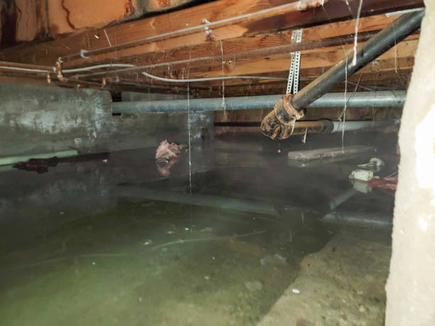 Best 24/7 water damage repair  in Dover Beaches North, NJ