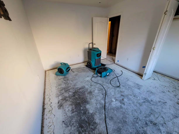 Trusted Dover Beaches North, NJ Water damage restoration Experts
