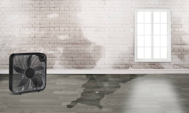Best Water damage restoration near me  in Dover Beaches North, NJ