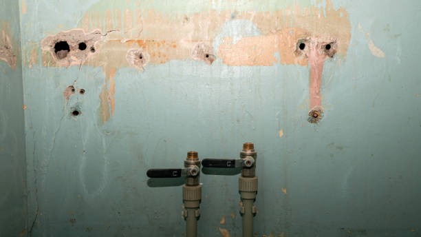 Best Water damage contractors near me  in Dover Beaches North, NJ